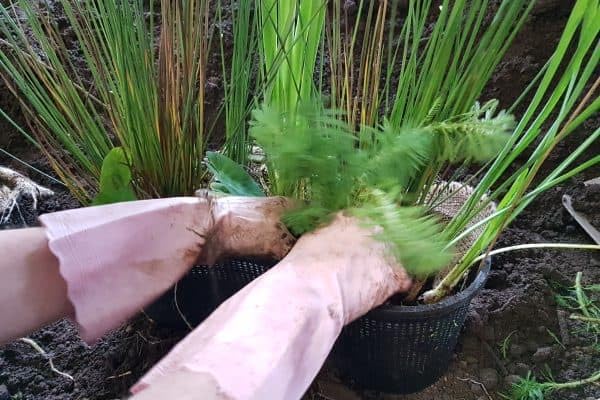 Hessian Square Liners for Plant Baskets